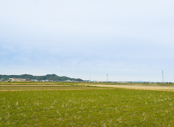 小松島の農業
